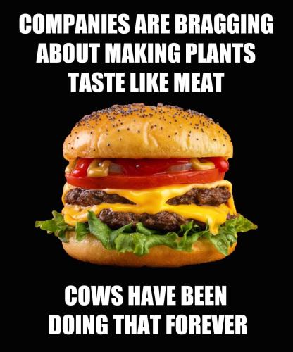 tastes like meat