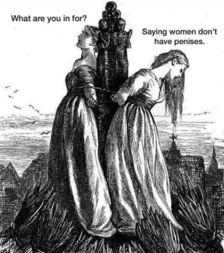 FB_IMG_1681038969291