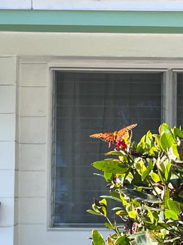 A9213BED-9EBA-436F-B951-BB35E86C20D0