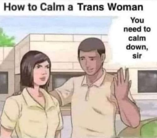 calm_tranny