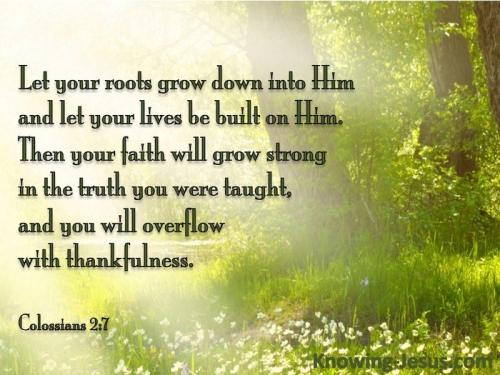 Colossians 2-7 Rooted on Christ green