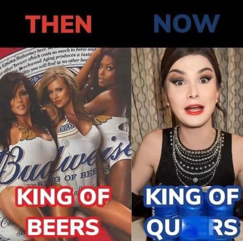 FB_IMG_1680646845439