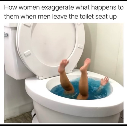 Screenshot_20230420-163006~2