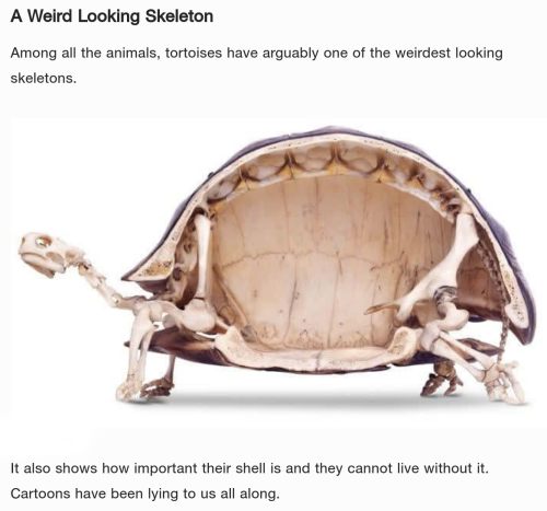 Screenshot_2023-04-09-22-46-08_kindlephoto-73978891