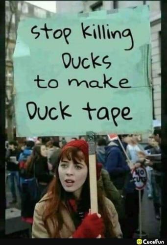 FB_IMG_1681394474440