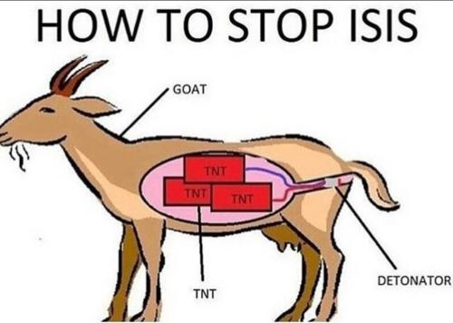 Screenshot_20230429_231450_Quora