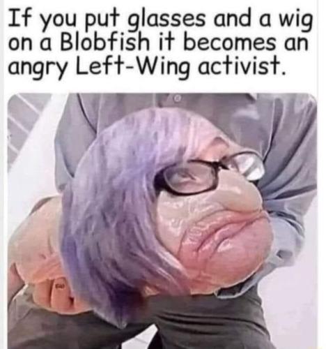 Screenshot_20230409_233733_Quora