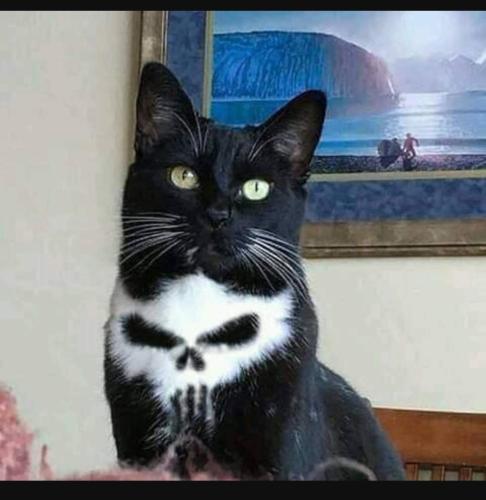 Screenshot_20230402_233738_YouTube