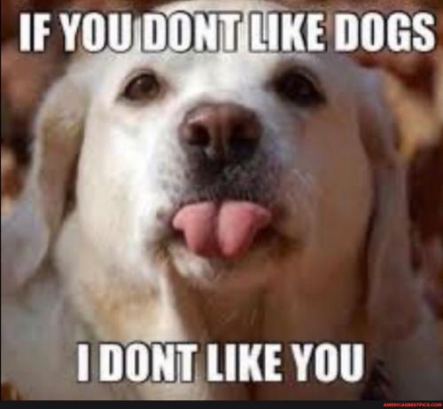 9ce1cbd196dffaf4439a08fedc68e6d47fd17a71e11d6fceeb961cd4bcb3d899_1