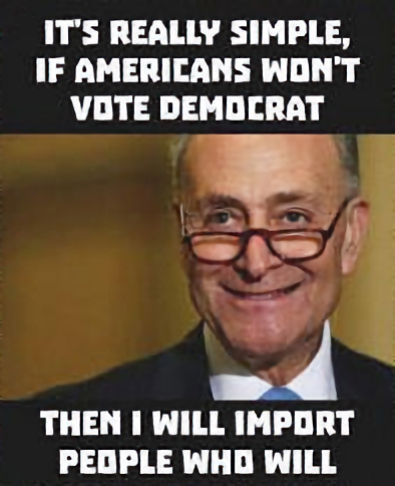 illegal immigration996