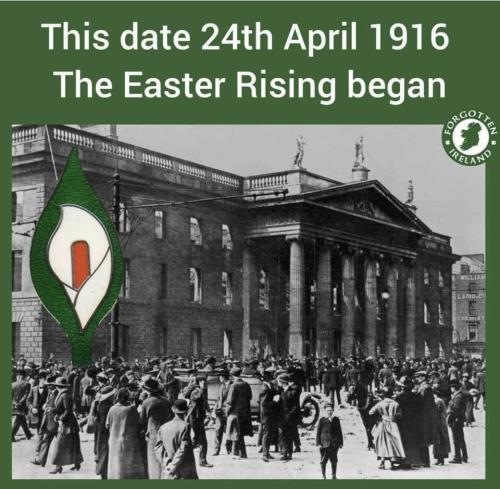 343434261_978354816851577_1856584915857184263_n