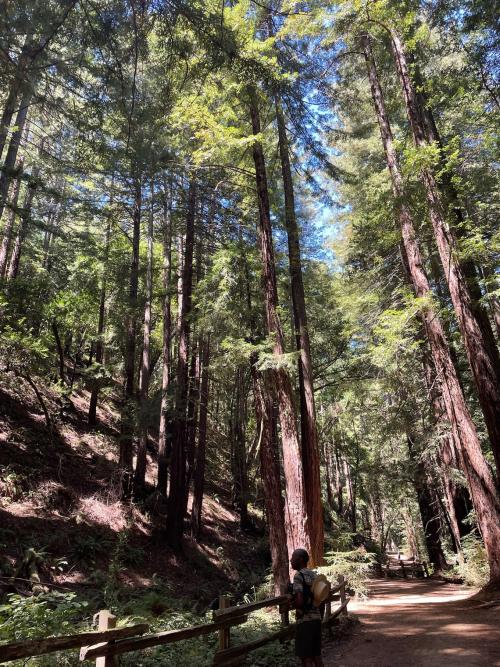 E13B6468-EDB9-4273-AA9C-6DB680F74B9A