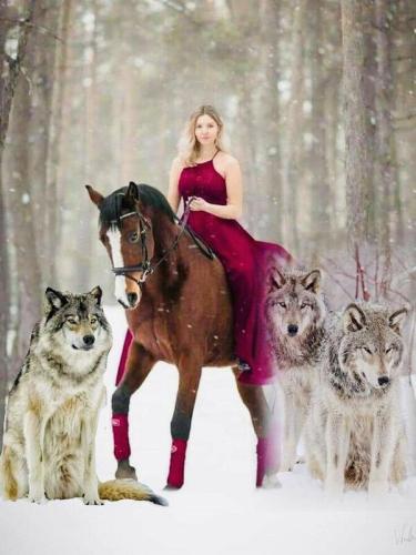 ! Woman on horse with wolves