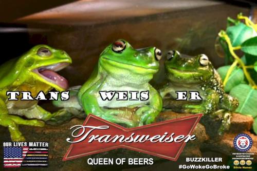 FB_IMG_1680641513648