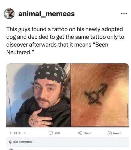 FB_IMG_1680641200355