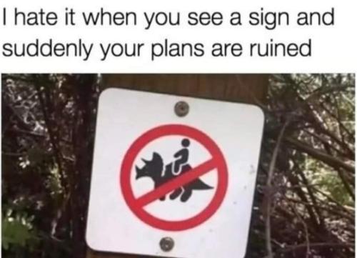 1682891019.9611192