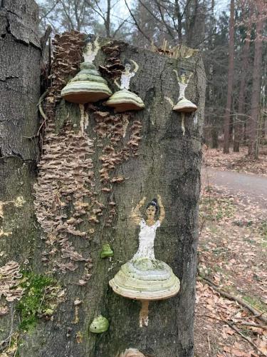 fungus ballerina