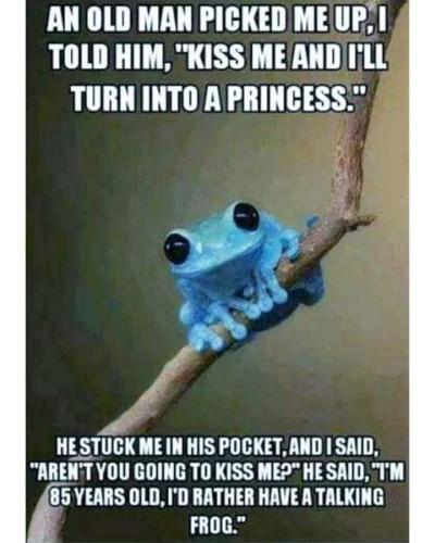 FB_IMG_1682452932540