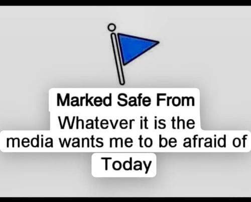 Media 5