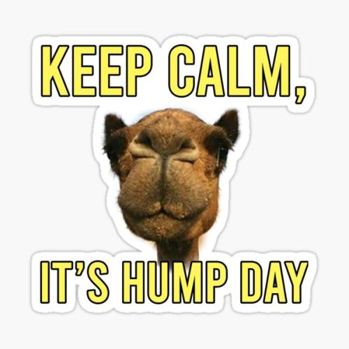 1-Hump Day