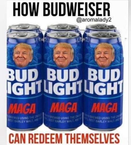 FB_IMG_1681181507696