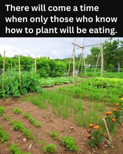 FB_IMG_1681572447343