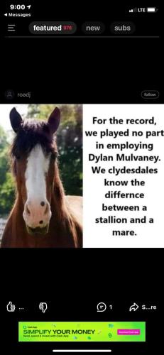 FB_IMG_1682802897218