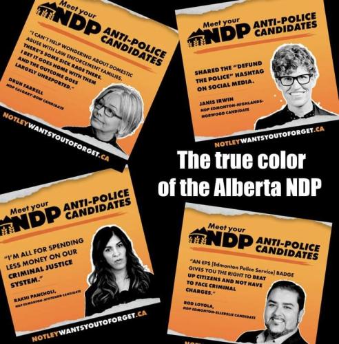 NDP true colours