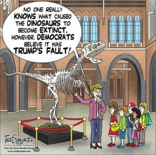 Trumps fault