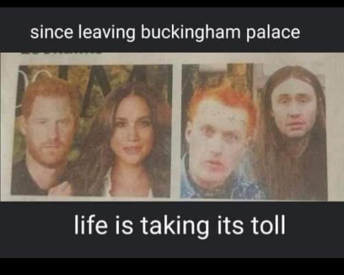 FB_IMG_1680884657654