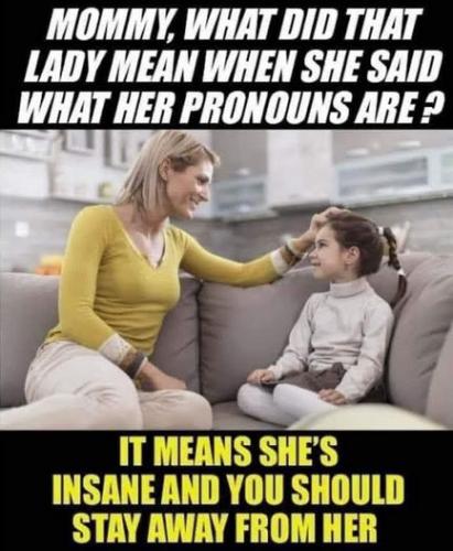 pronouns19