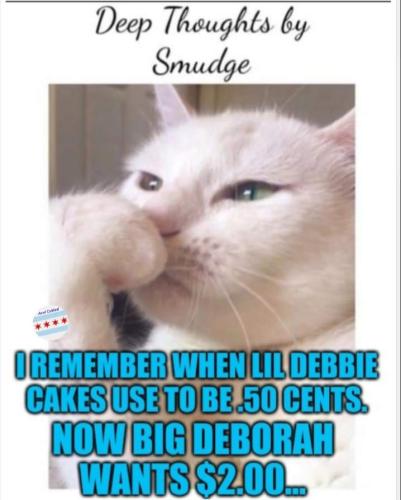 FB_IMG_1680877914575