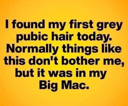 FB_IMG_1682608784220