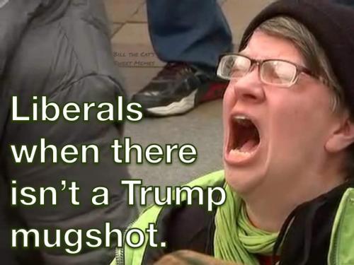 FB_IMG_1680628605330