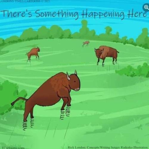 somethings happening here
