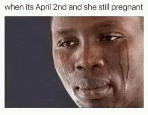 FB_IMG_1680458204661