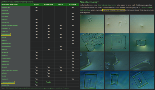 Electron Microscopy Confirms Graphene Oxide & Trypanosoma Parasite In COVID-19 Injections
