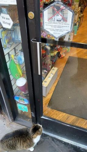 FB_IMG_1682434122272