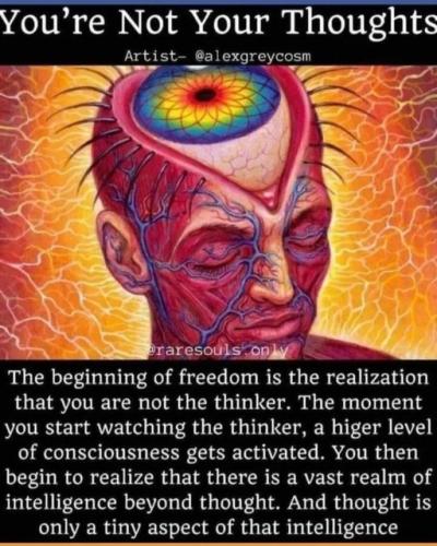 51cCp52jAWL._AC_AC_SR98,95_