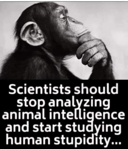 Screenshot_20230403-181910_Facebook