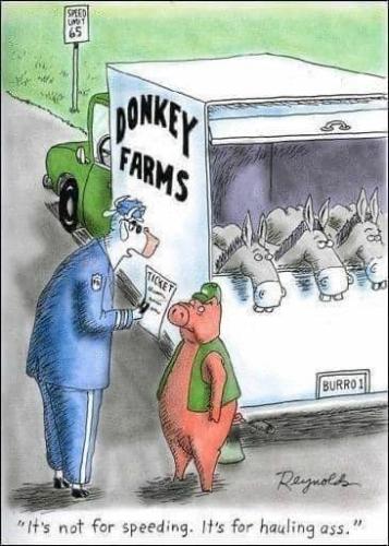 343440082_1674393442981449_8675197244657525628_n