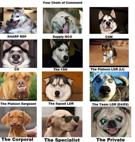 341092741_1409906089839816_5315955556555065187_n