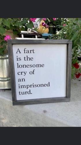 FB_IMG_1682435083692