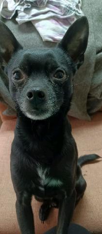 36b9a529-1d13-4604-accb-1cedcafb6302