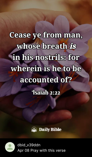 2023-04-081680985500492