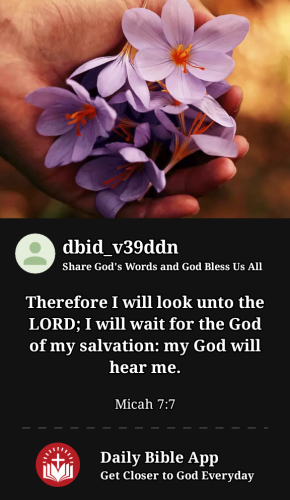 2023-05-091683686147613