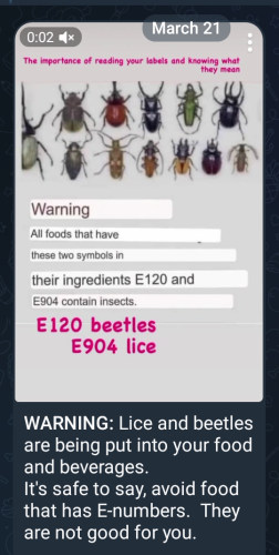 Screenshot_20230510-090453~3