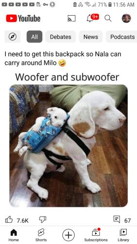 Screenshot_20230503-115630_YouTube