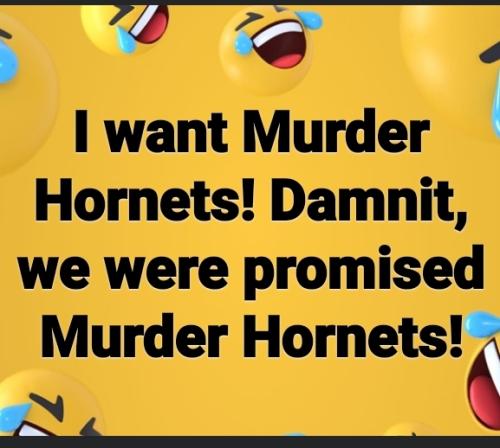 Screenshot_20230518-084140_Facebook