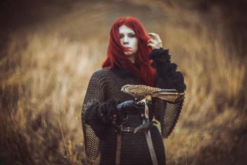 falconry_by_elenasamko_d81iazx-fullview